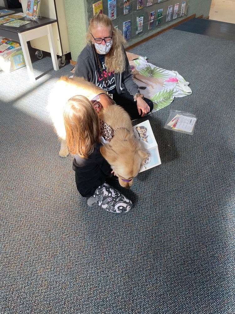 library dogs