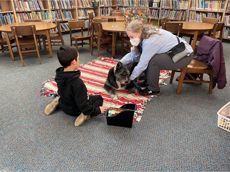 library dogs