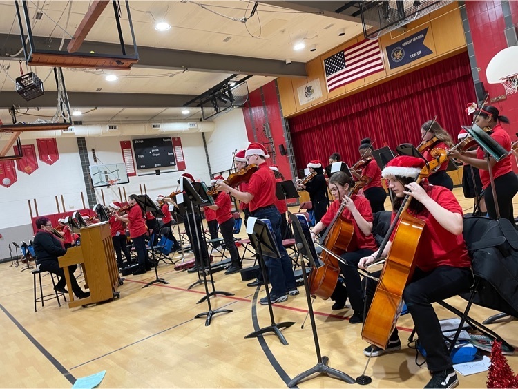orchestra