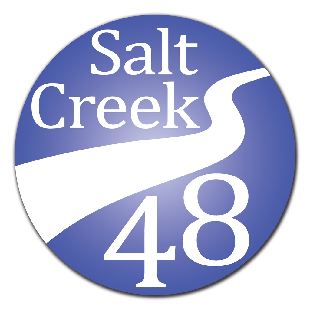 Salt Creek School District 48